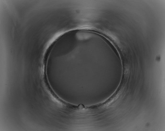 X0000101401414200807141146