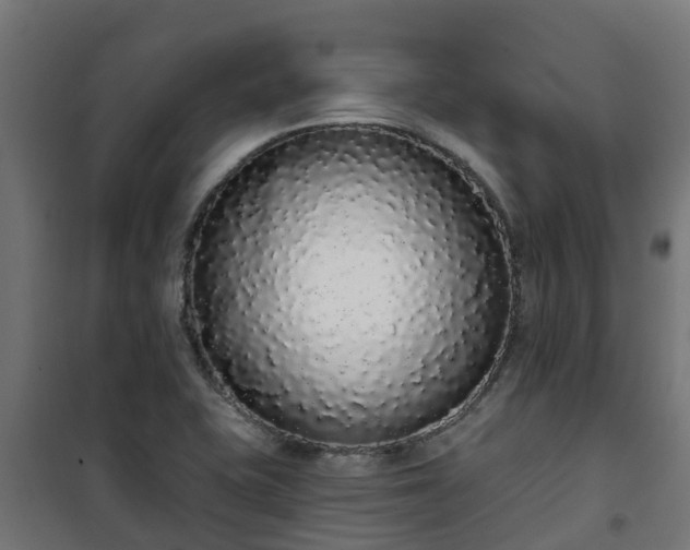 X0000101401415200807141146