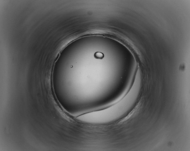 X0000101401417200807141146