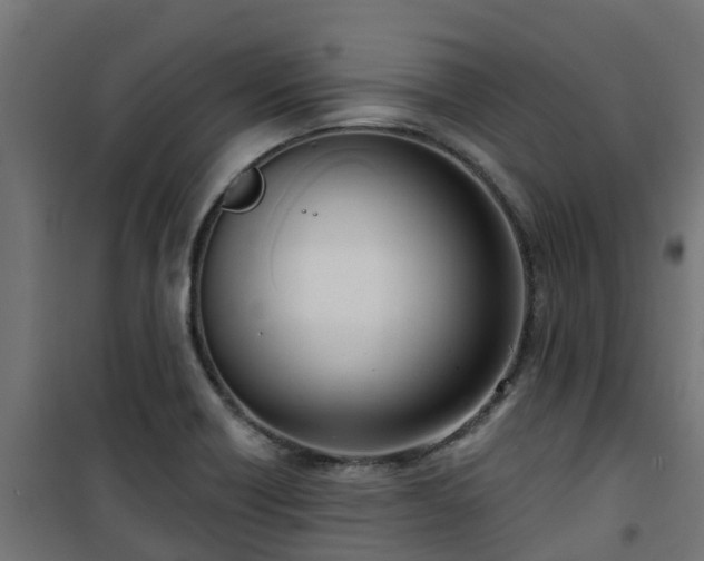 X0000101401418200807141146