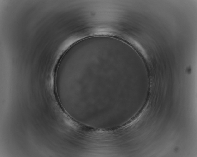 X0000101401419200807141146