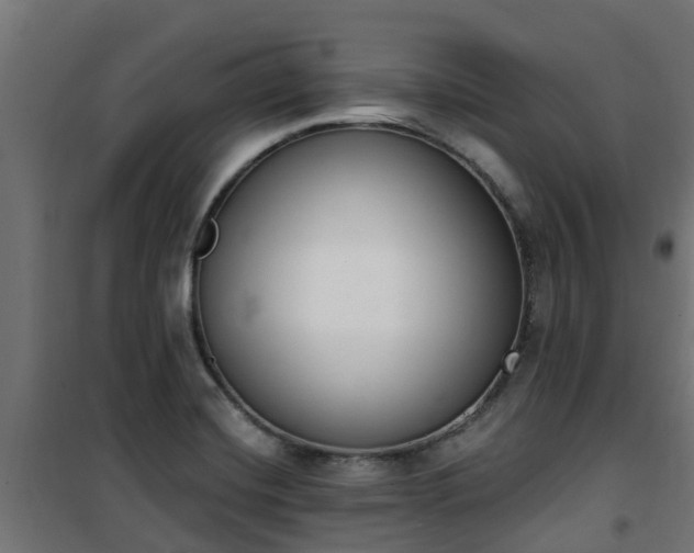 X0000101401420200807141146