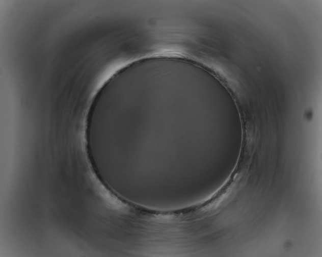 X0000101401422200807141146