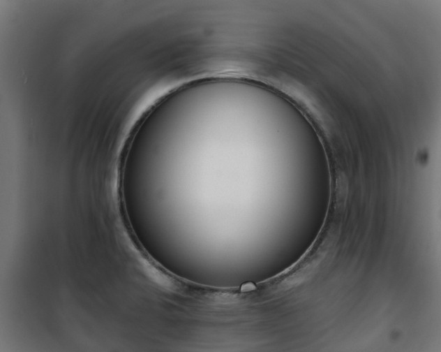 X0000101401424200807141146