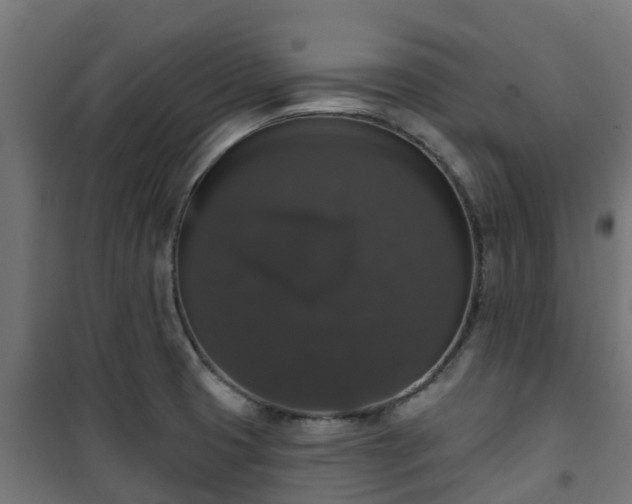 X0000101401425200807141146