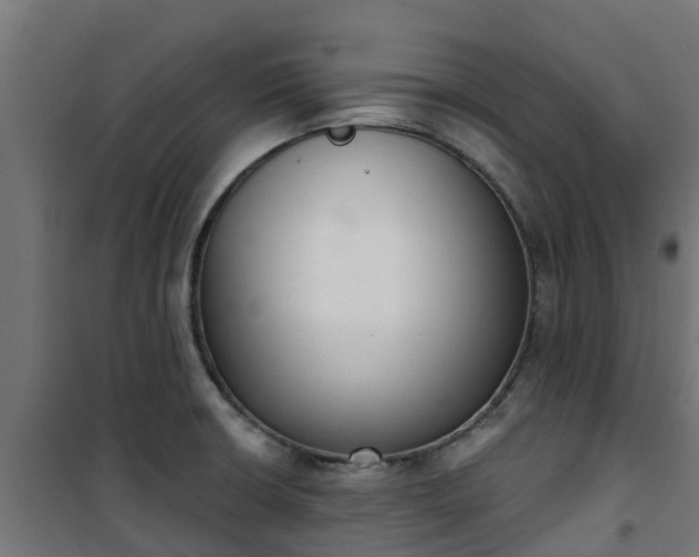 X0000101401426200807141146