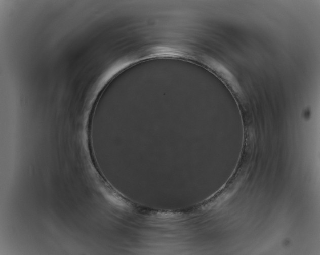 X0000101401427200807141146