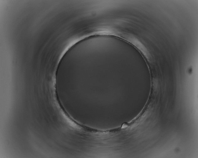 X0000101401428200807141146