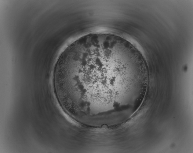 X0000101401429200807141146