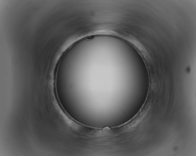 X0000101401430200807141146