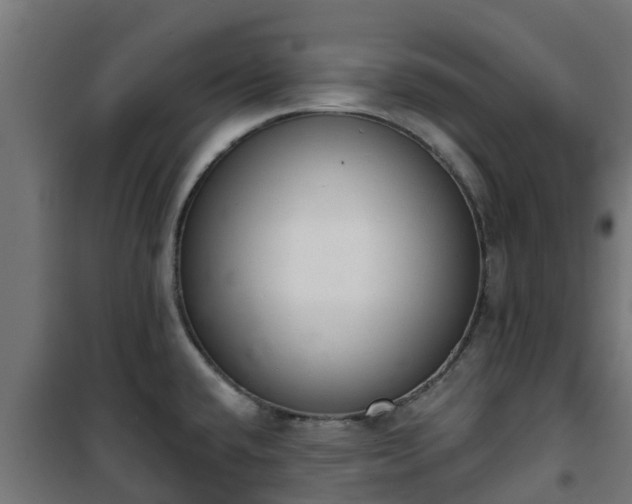 X0000101401432200807141146