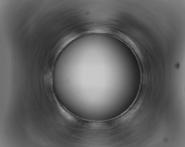 X0000101401433200807141146