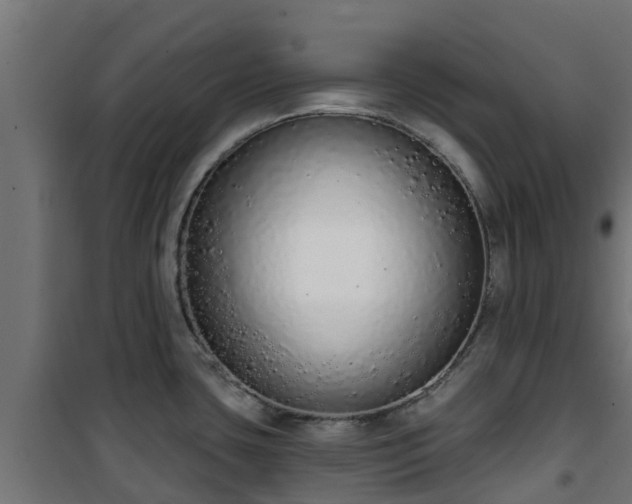 X0000101401435200807141146