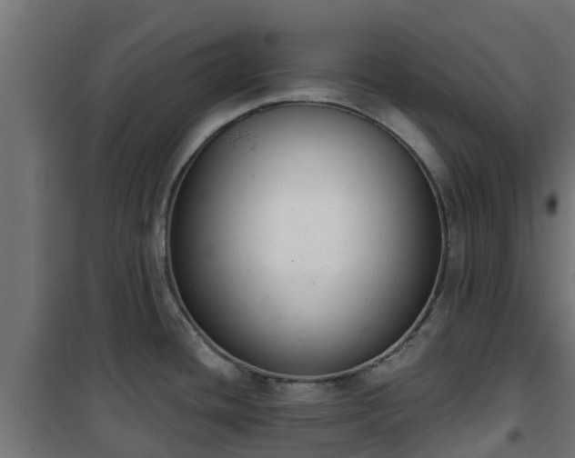 X0000101401436200807141146