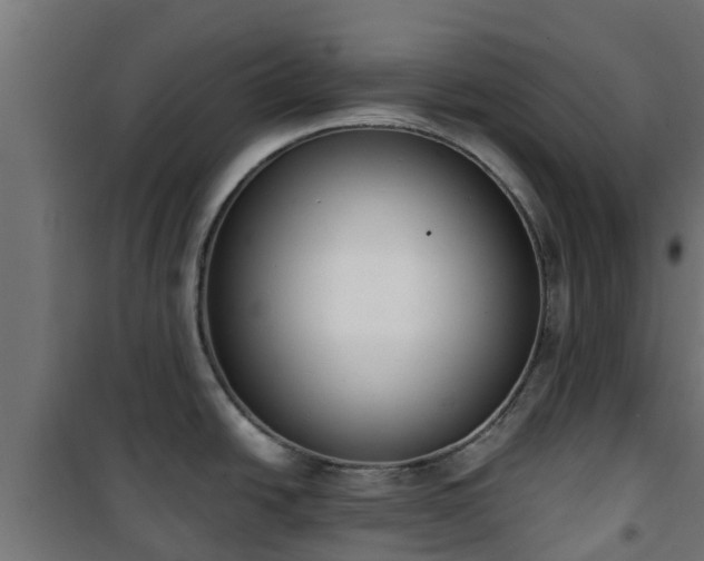 X0000101401438200807141146