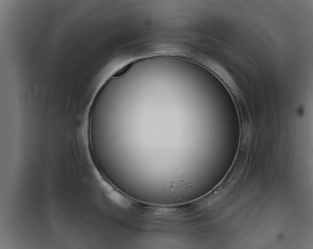 X0000101401439200807141146