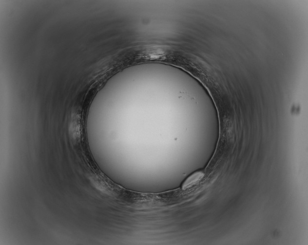 X0000101401442200807141145