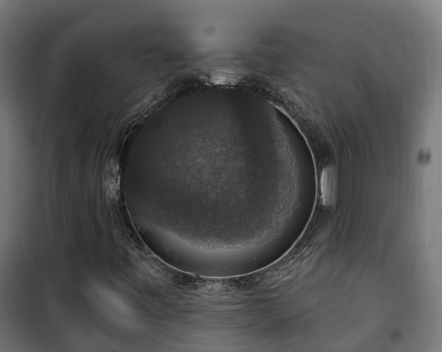 X0000101401443200807141145