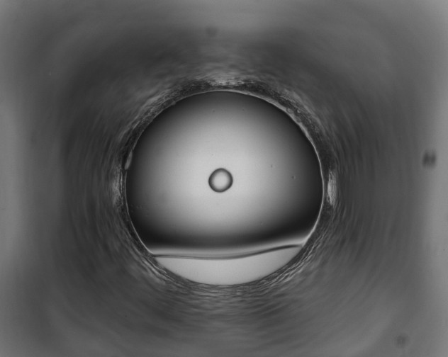 X0000101401444200807141145