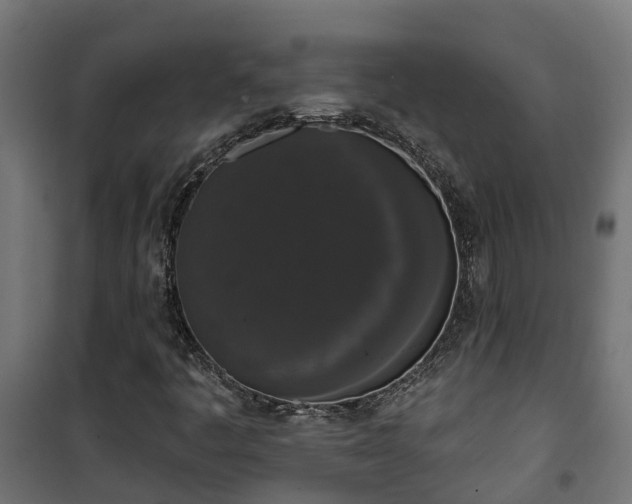 X0000101401445200807141145