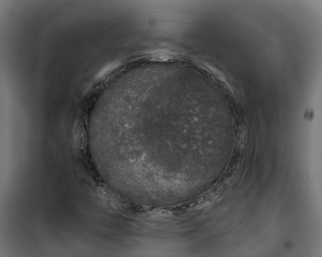 X0000101401446200807141145