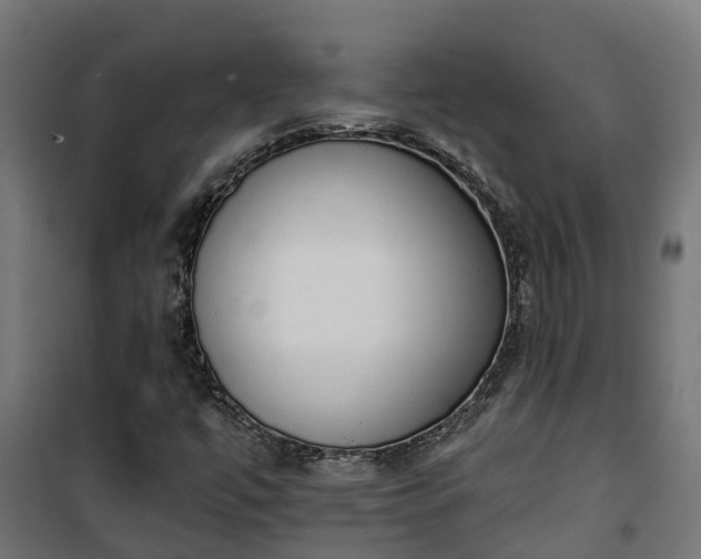 X0000101401447200807141145