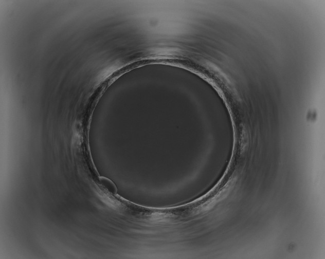 X0000101401449200807141145