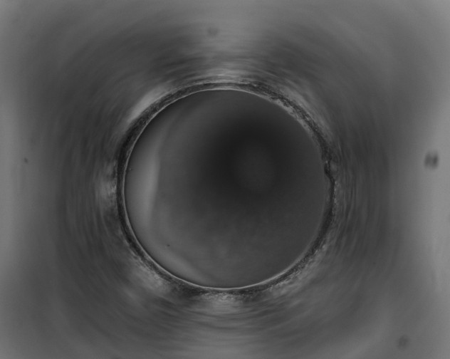 X0000101401450200807141145