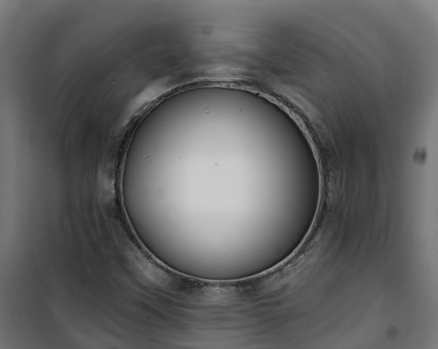 X0000101401451200807141145