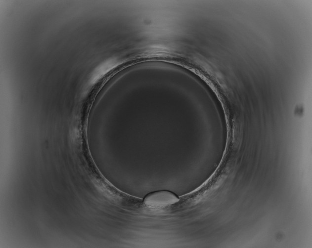 X0000101401453200807141145