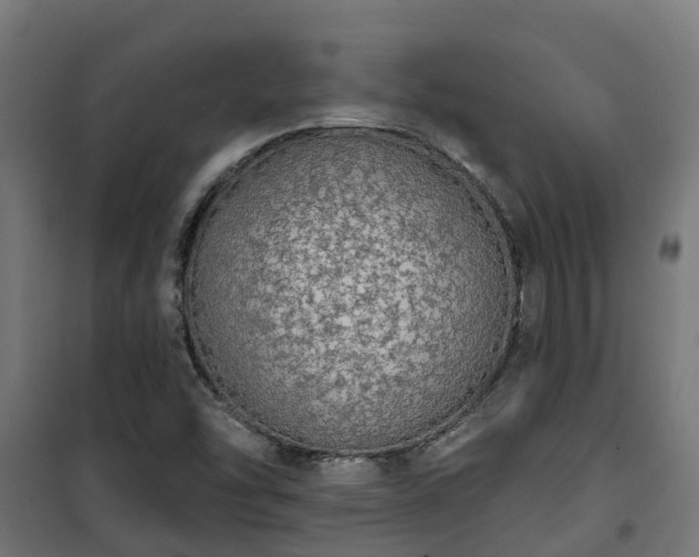 X0000101401454200807141145