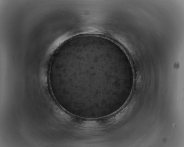 X0000101401455200807141145