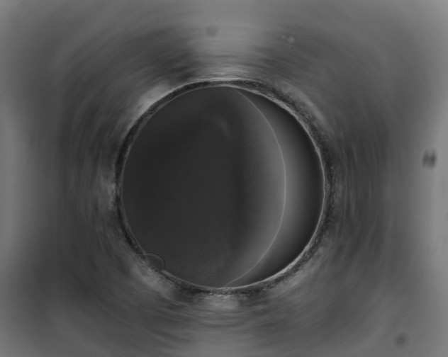 X0000101401457200807141145