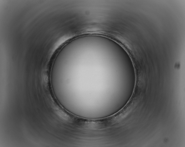 X0000101401458200807141145