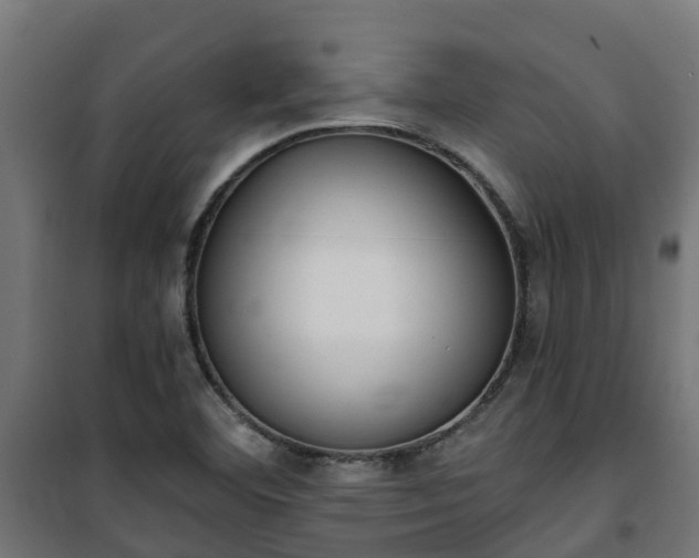 X0000101401460200807141145