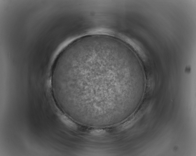 X0000101401462200807141145