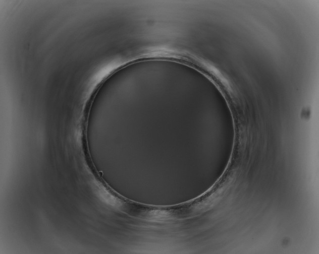 X0000101401463200807141145