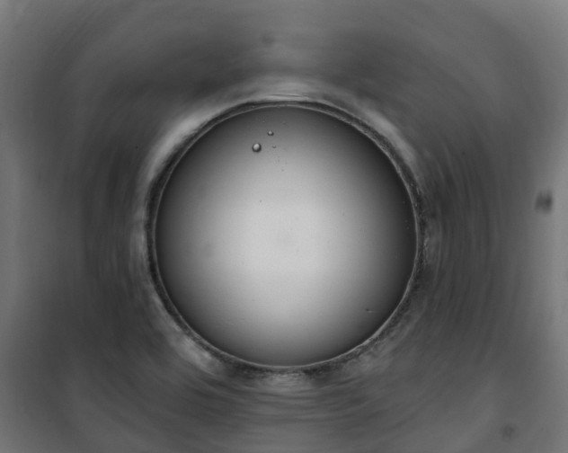 X0000101401464200807141145