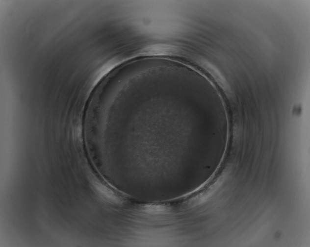 X0000101401465200807141145