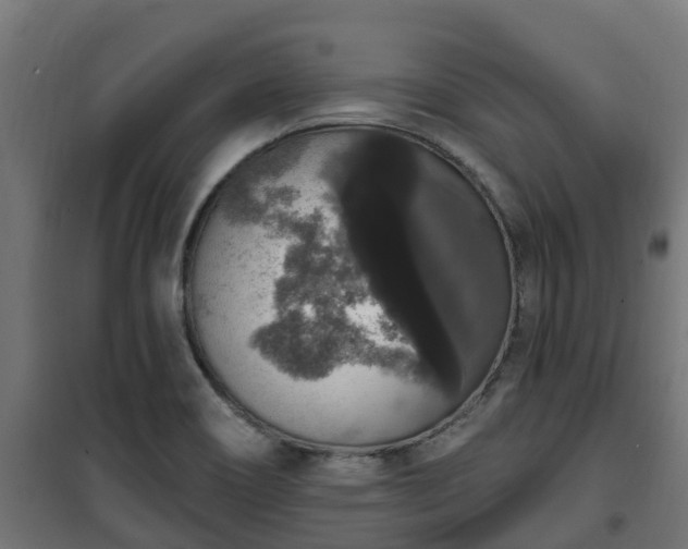 X0000101401466200807141145