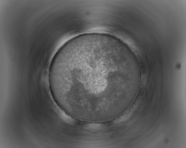 X0000101401470200807141145