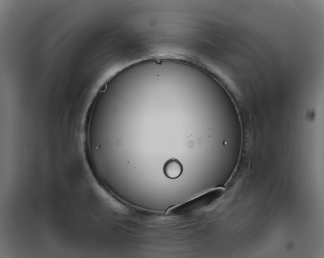 X0000101401471200807141145