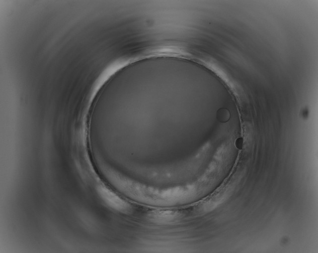 X0000101401474200807141145