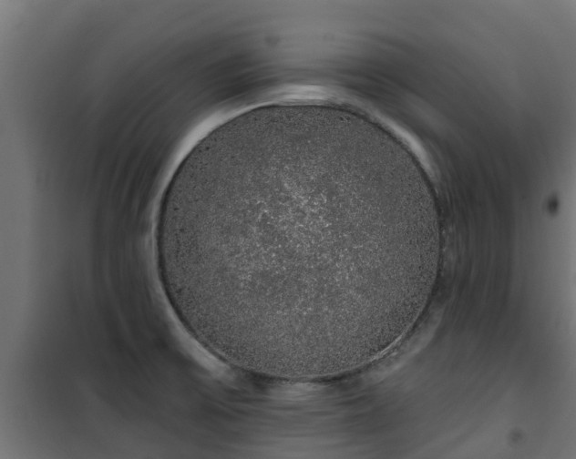 X0000101401475200807141145