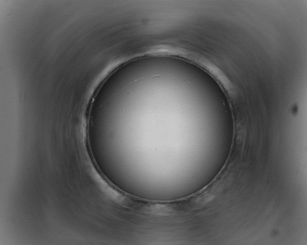 X0000101401476200807141145