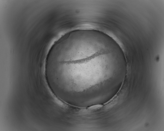 X0000101401477200807141145