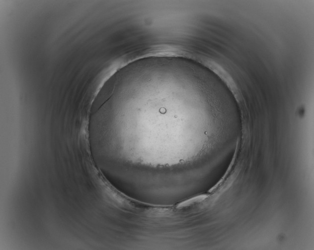 X0000101401481200807141145