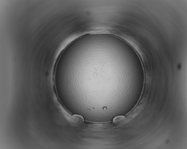 X0000101401485200807141145