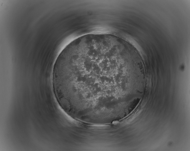 X0000101401487200807141145