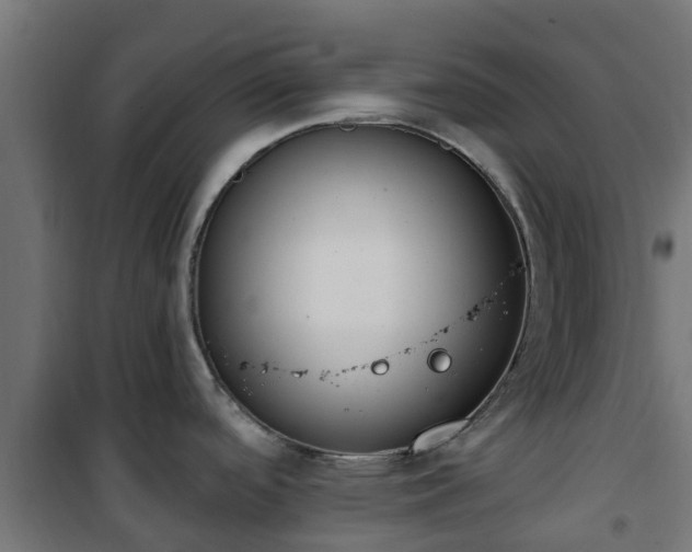 X0000101401488200807141145